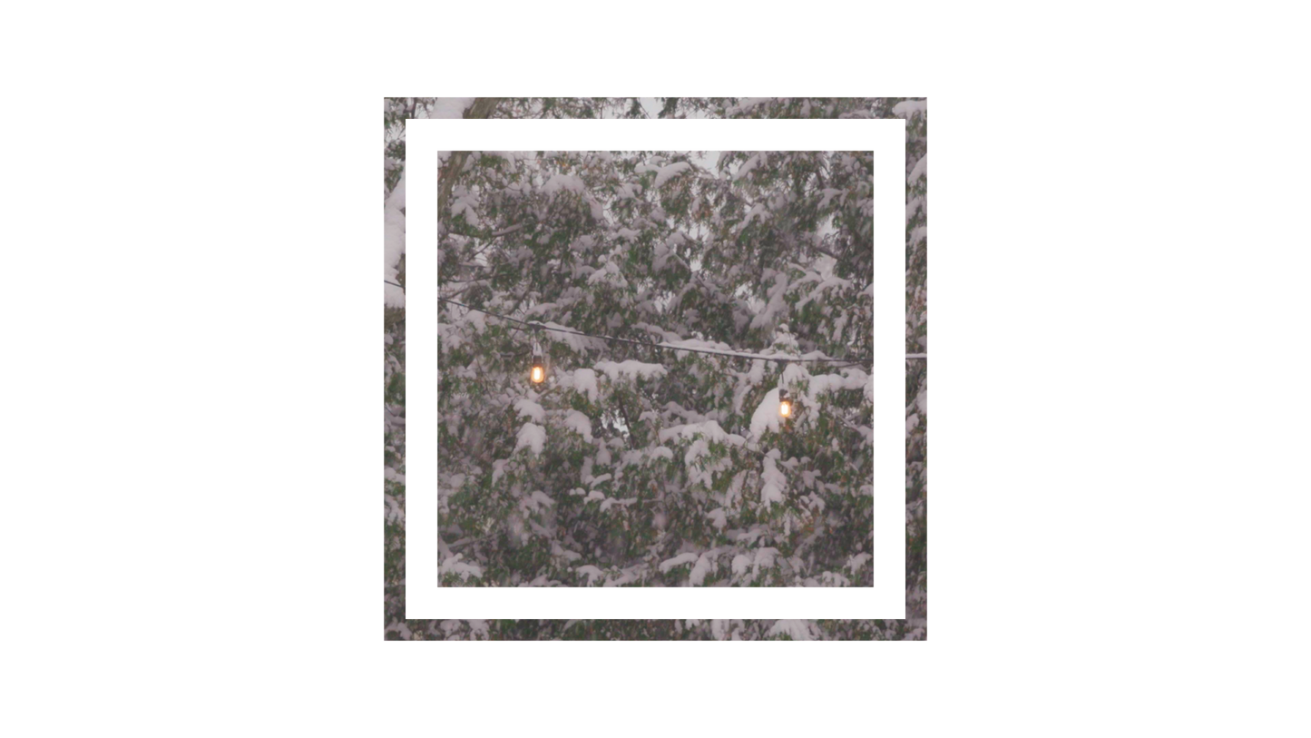 Winter Woods Square 02