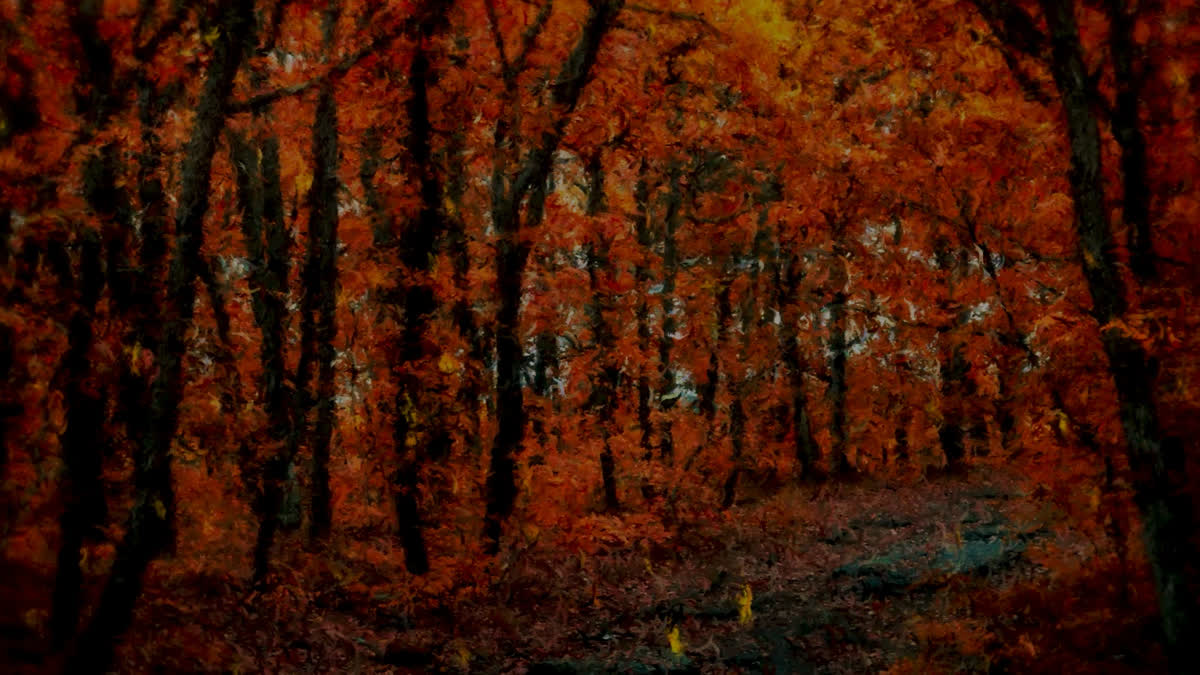 Autumn Vibes 9 Alt