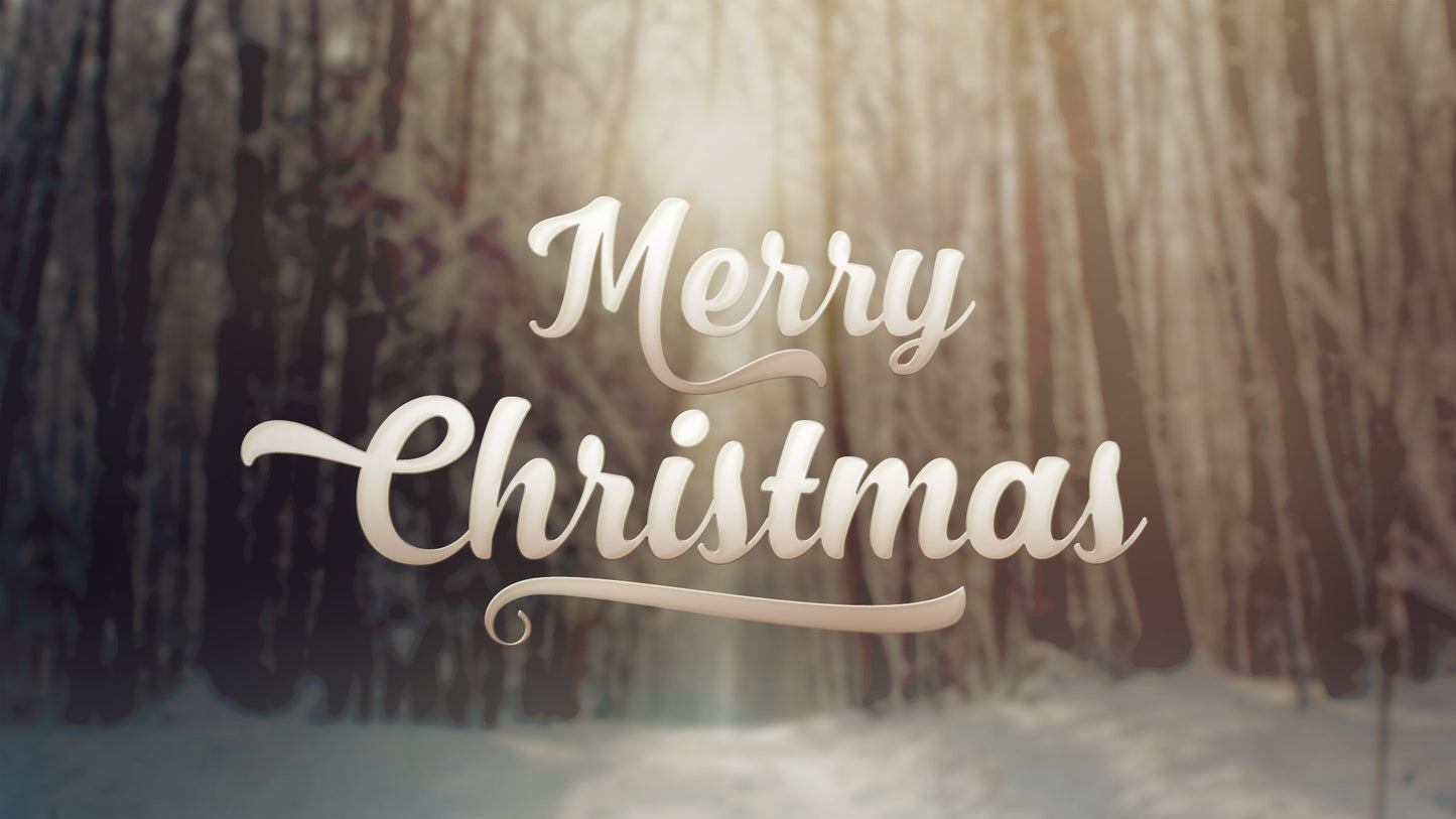 Christmas Forest Two