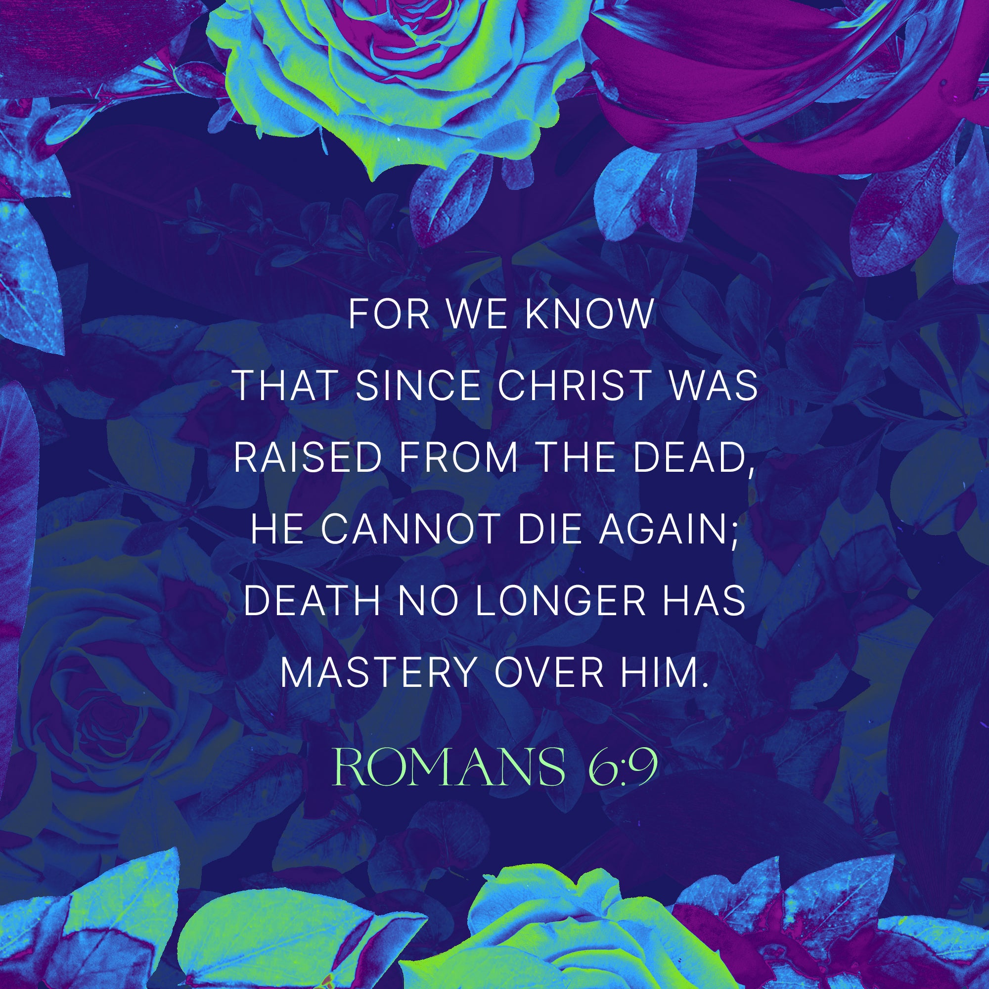 Romans 6:9 Still | Shift Worship