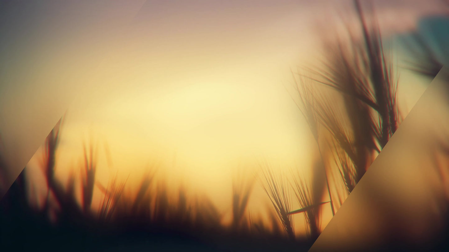Days End Growth