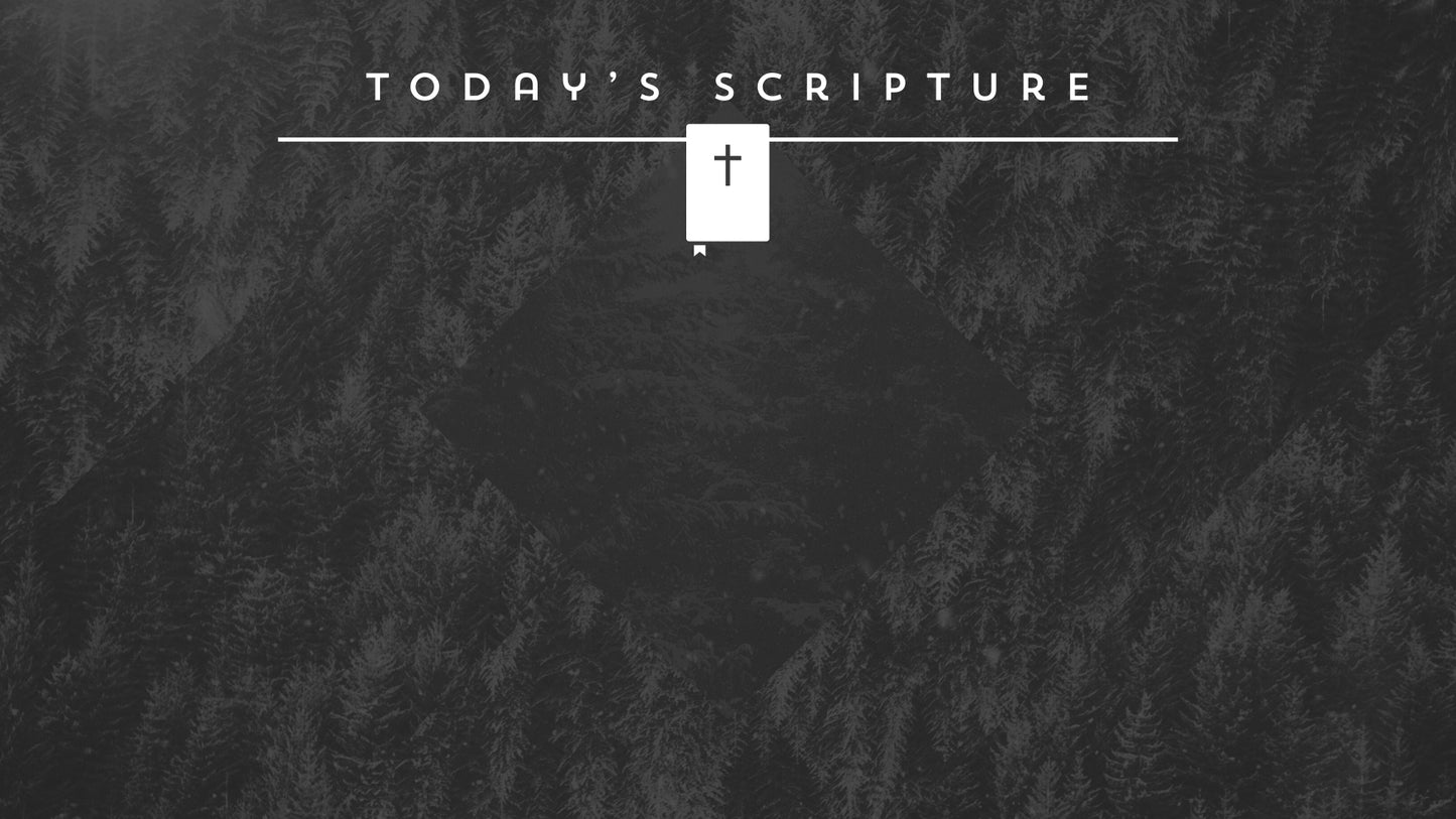 Christmas Forest Scripture Still