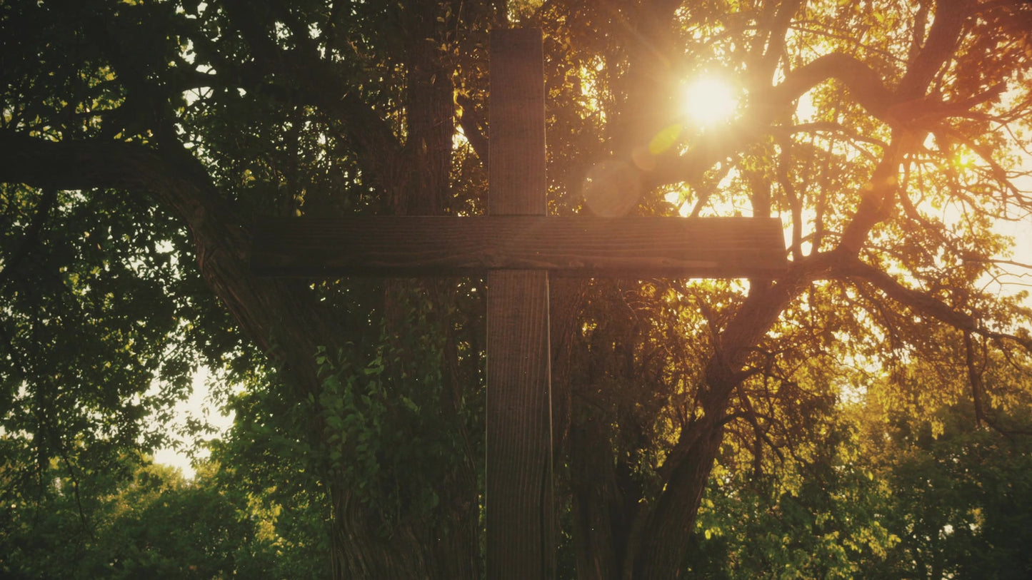 Nature Cross 13