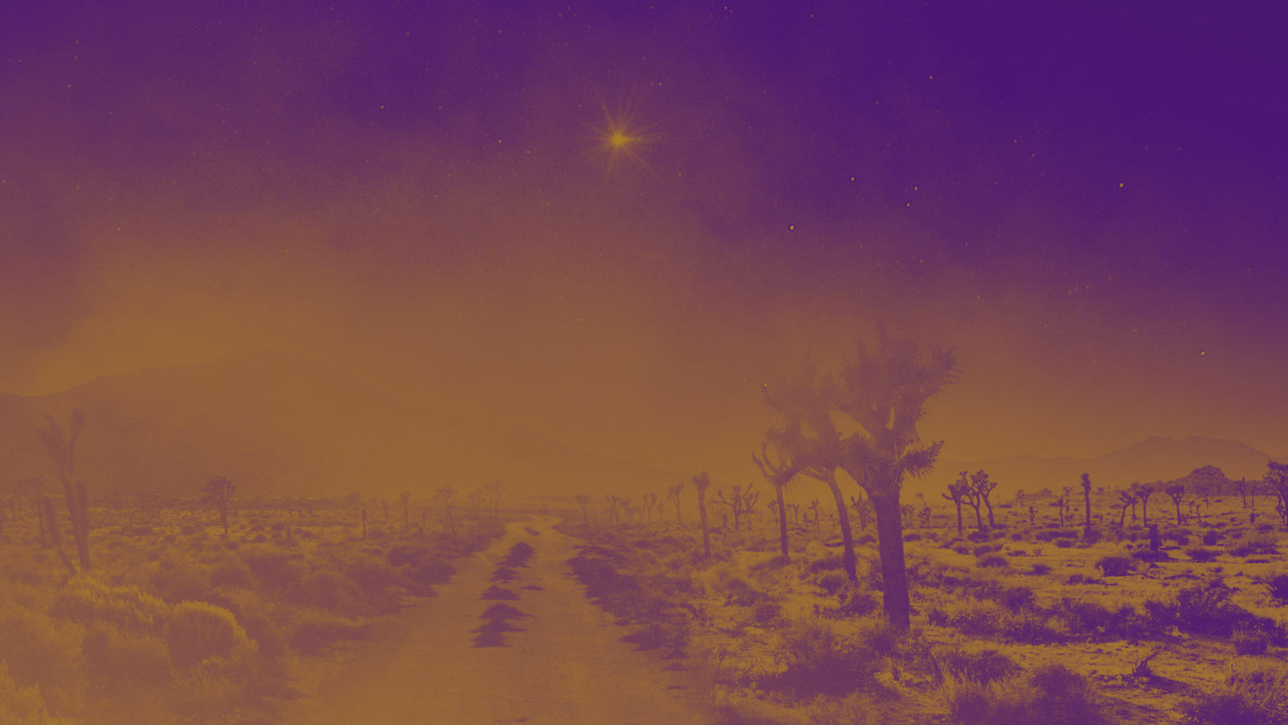 Amber Christmas Road Still