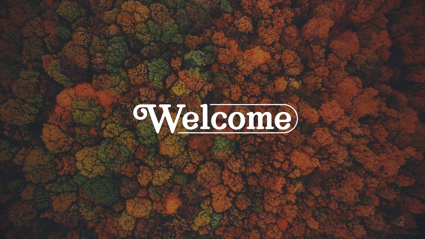 Autumn Colors AE