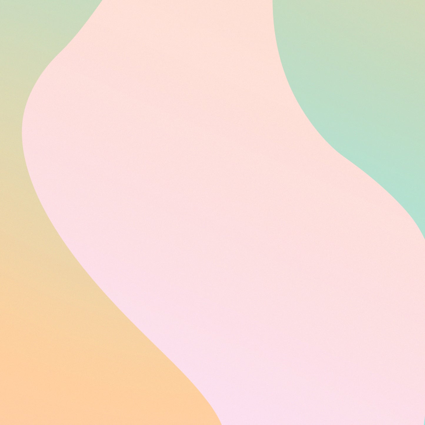 Invite Who Blank