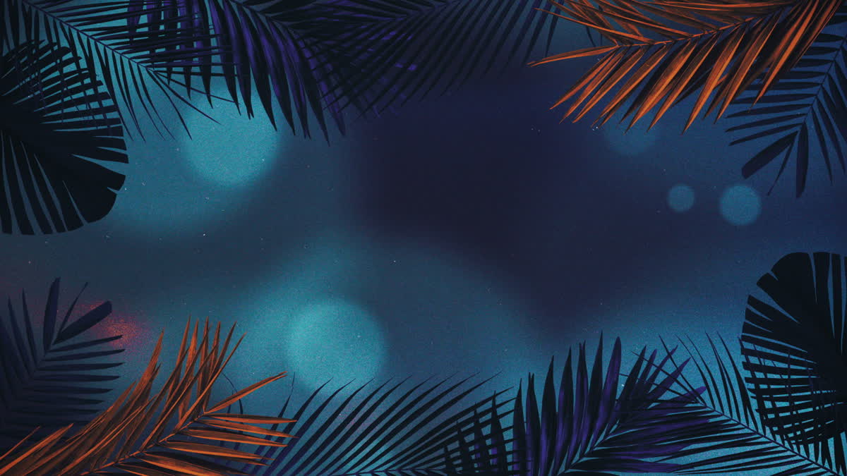 Vibrant Palms 3