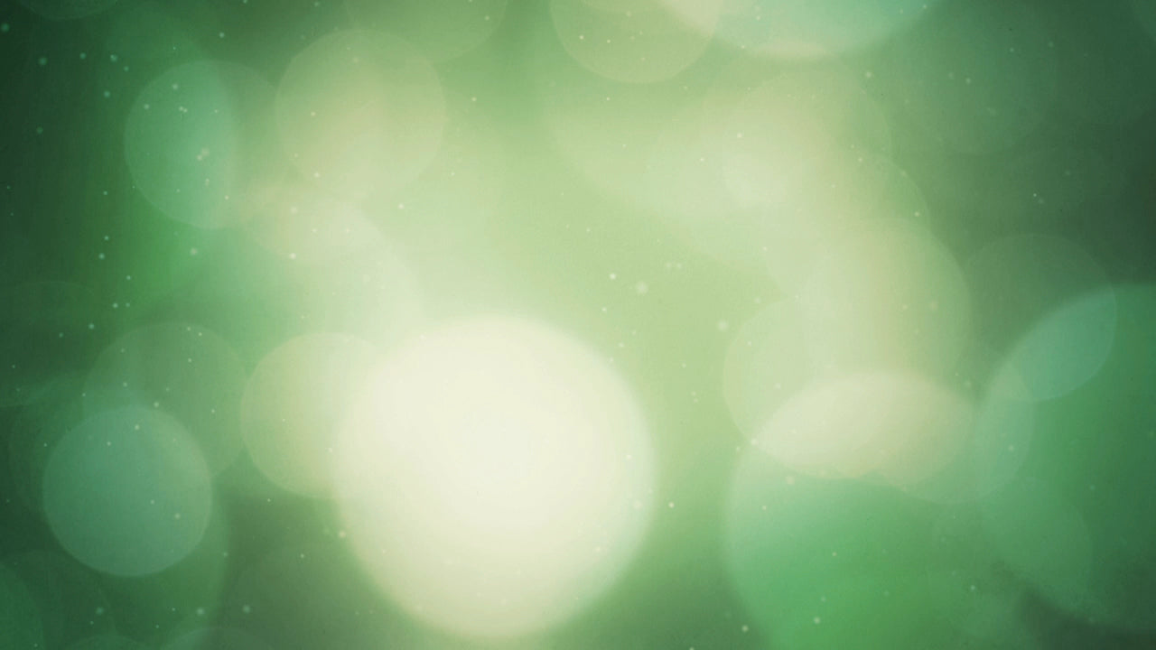 Spring Bokeh 01 Still