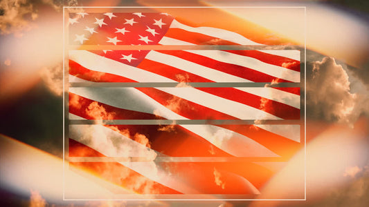 Veterans Day 07