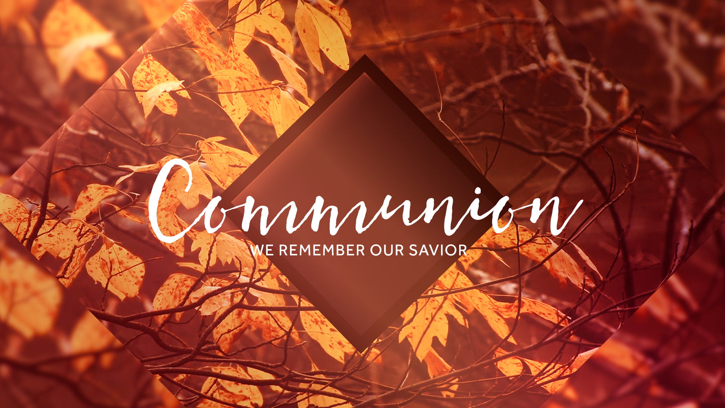 Autumn Oasis Communion