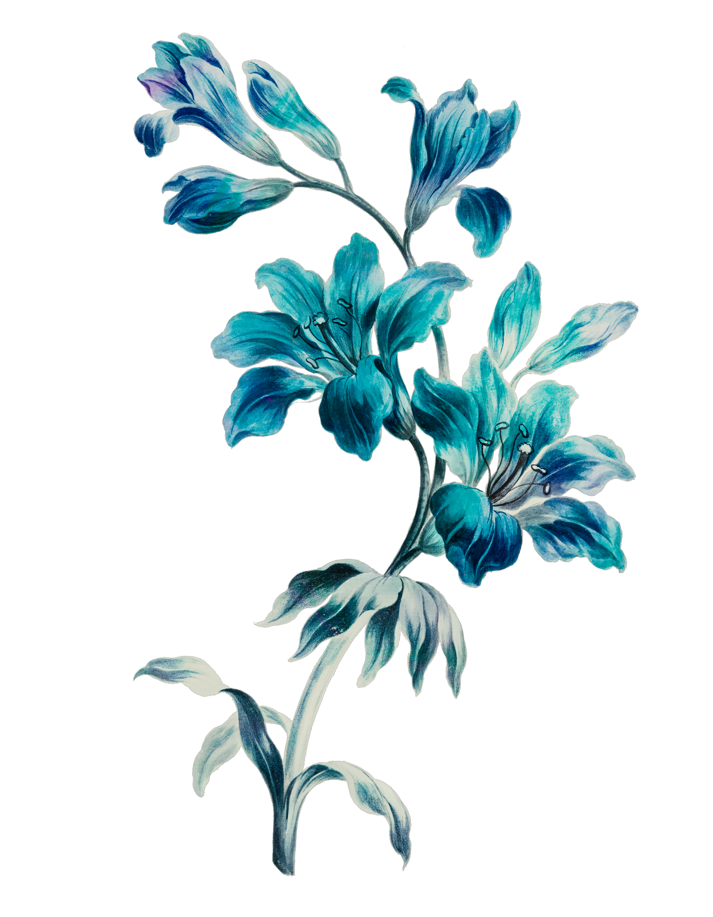 Mothers Day Glam Flower15