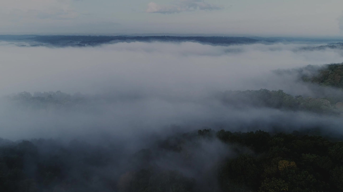 Autumn Scripture Aerial