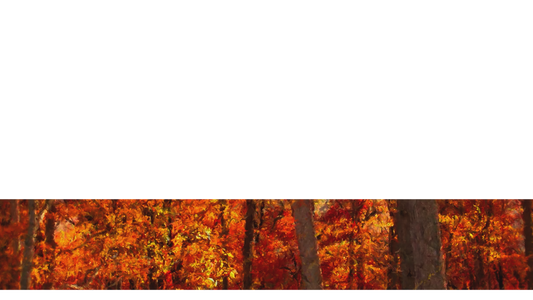 Autumn Vibes Lower Third 7