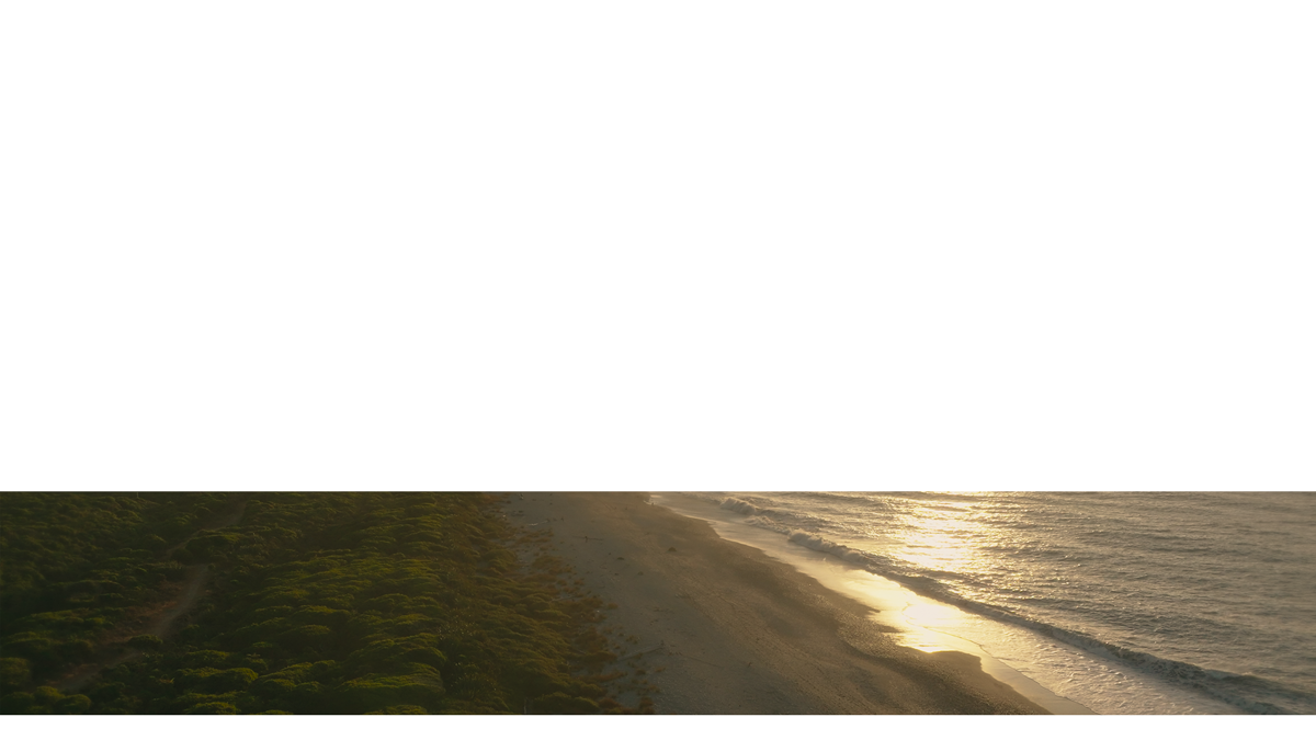 Gillespies Beach Lower Third 8