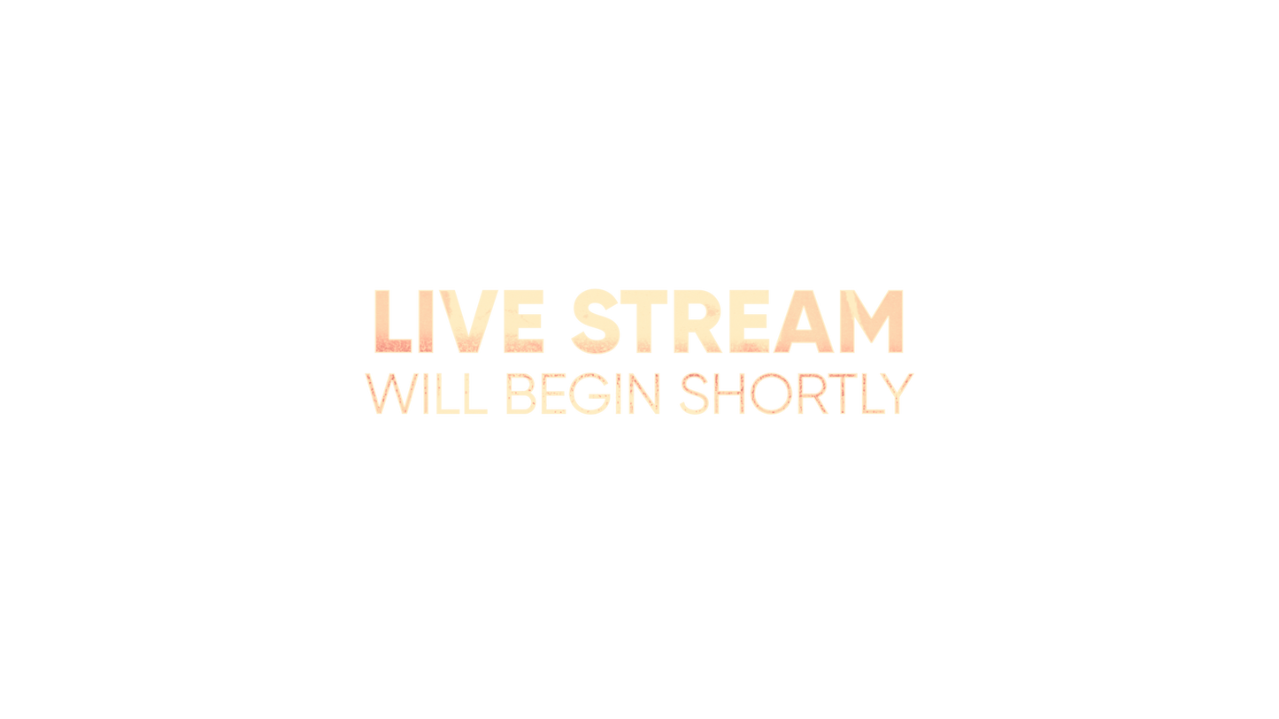 Painted Cosmos Live Stream