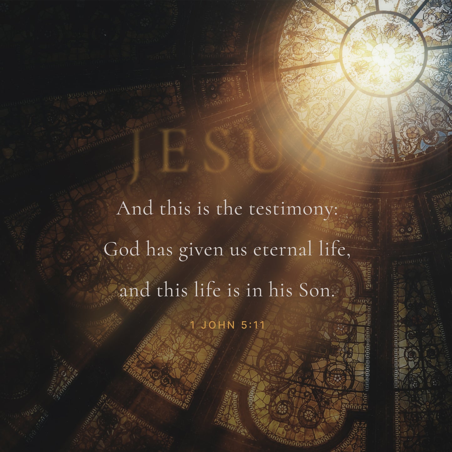 1 John 5:11