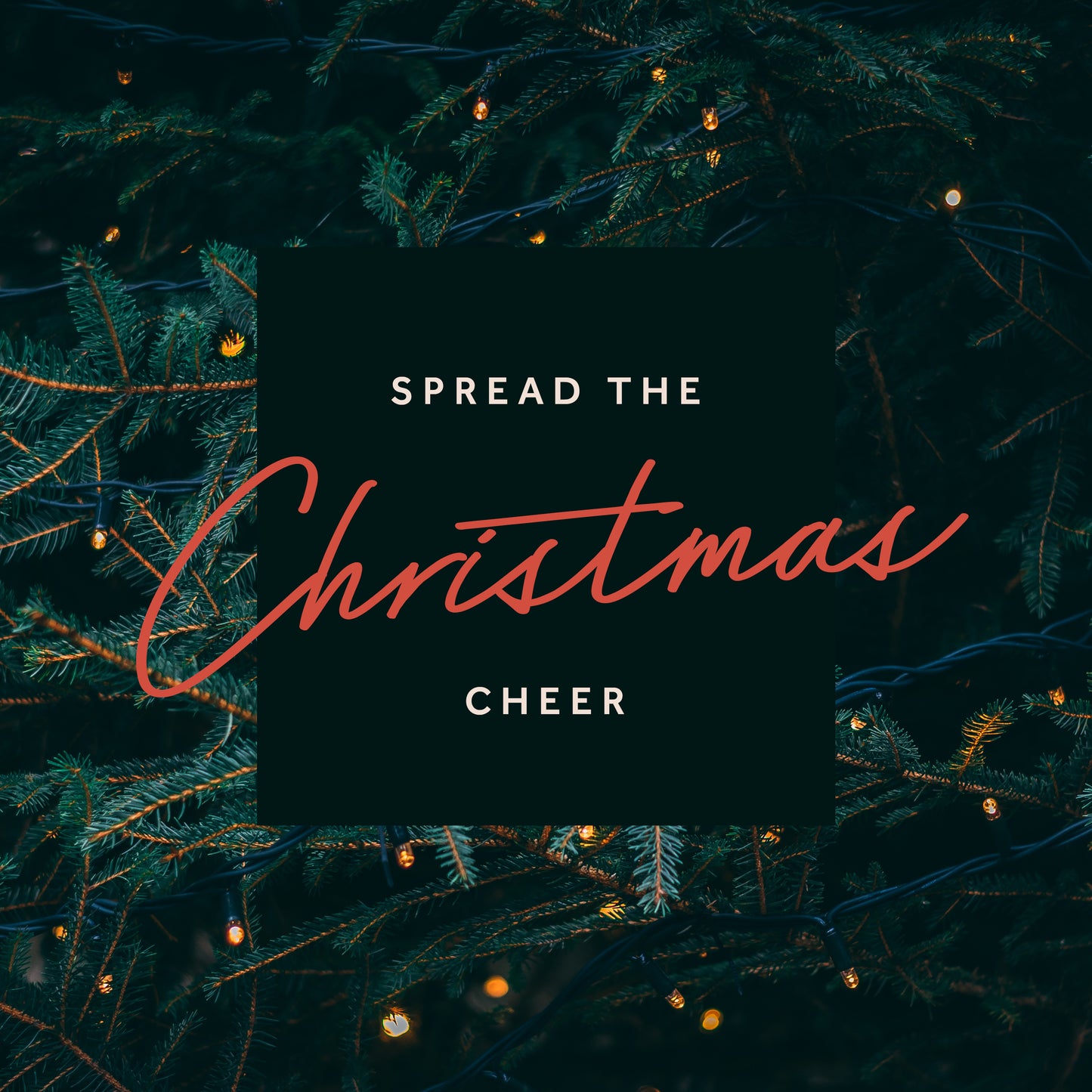 Spread the Cheer