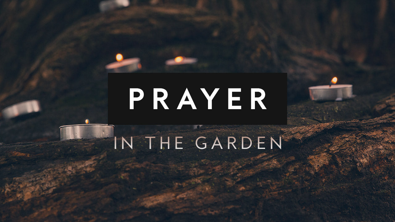 Willow Lights Sermon Series