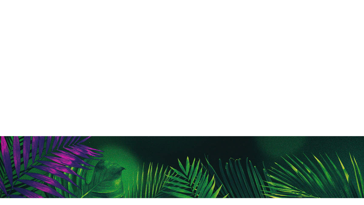 Vibrant Palms Lower Third 6