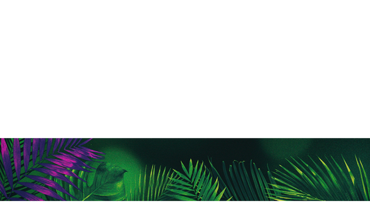 Vibrant Palms Lower Third 6