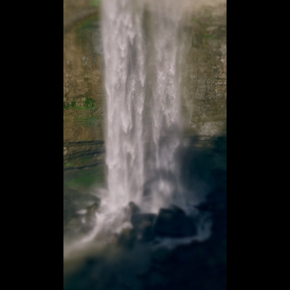 Nature's Force Prayer Blank Reel