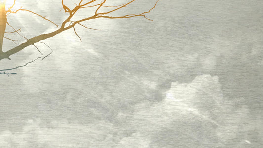 Thanksgiving Clouds 02 Still