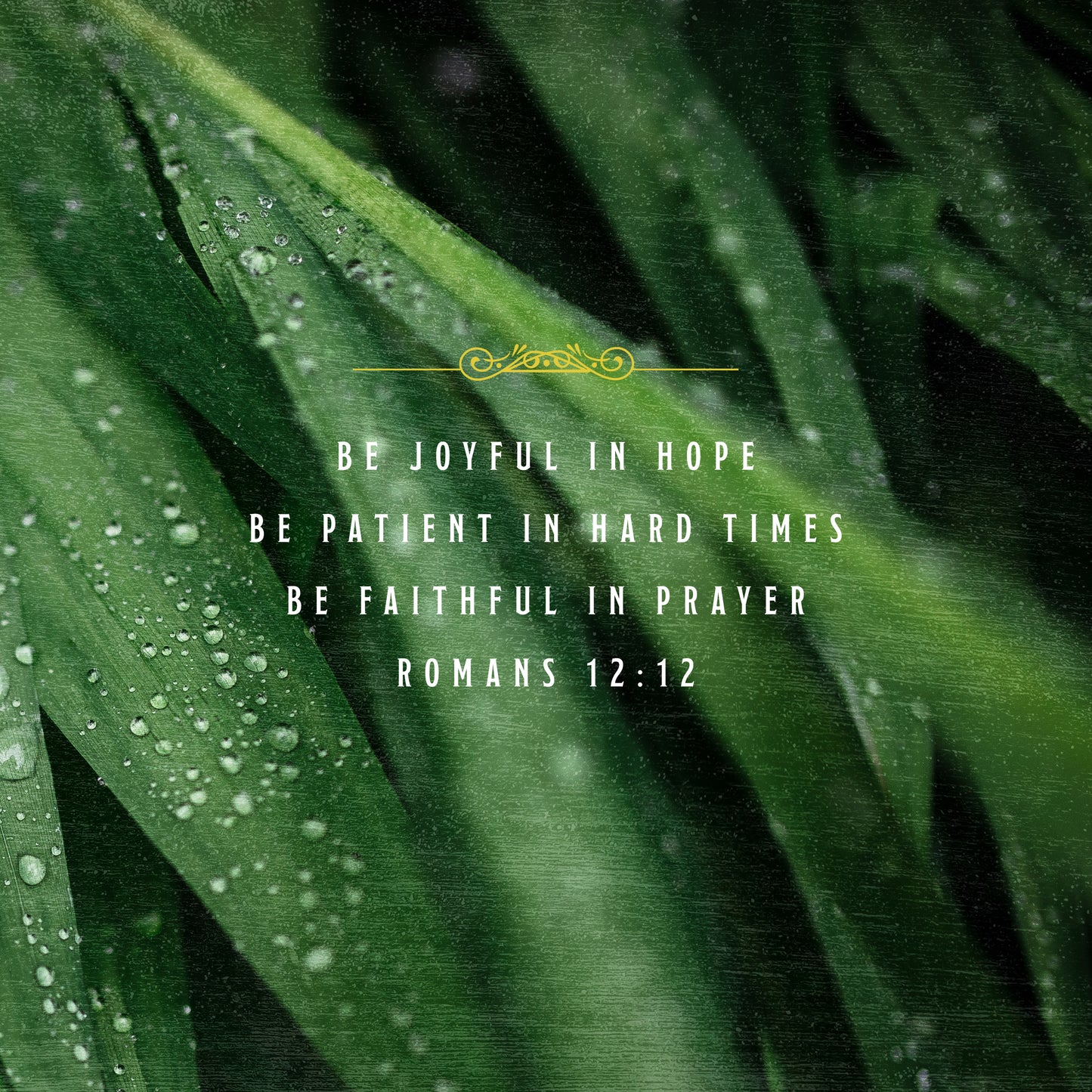 Romans 12:12