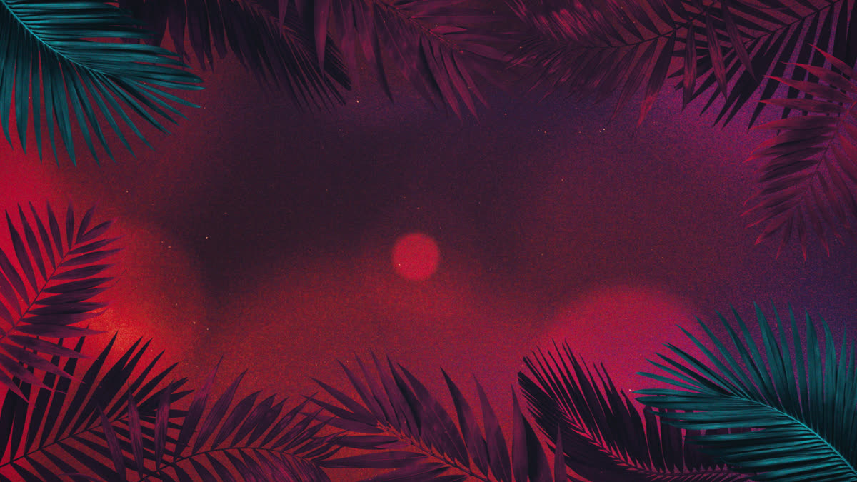 Vibrant Palms 4