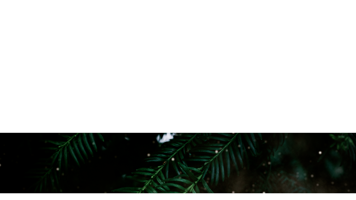 Evergreen Lower Third 7