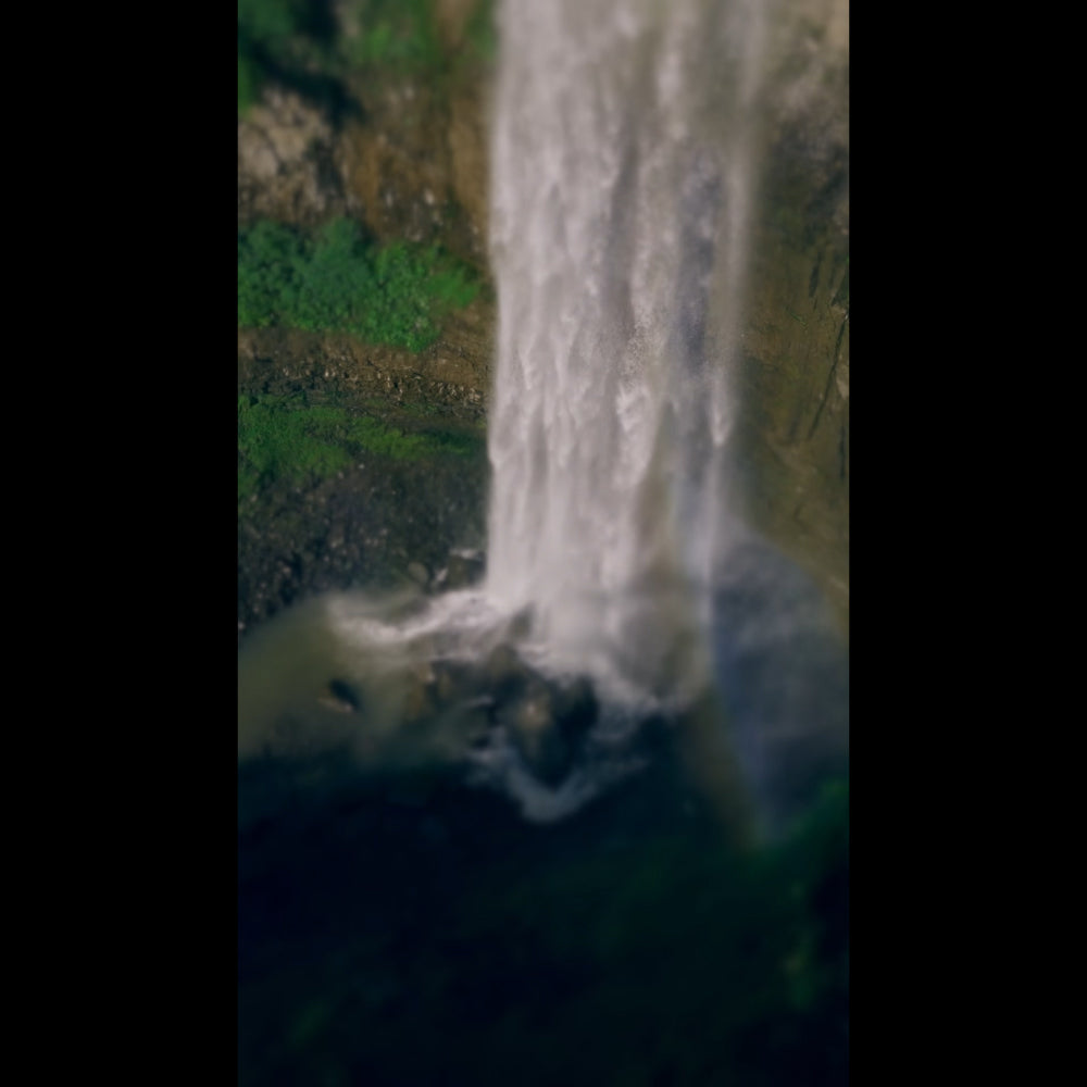 Nature's Force Giving Blank Reel