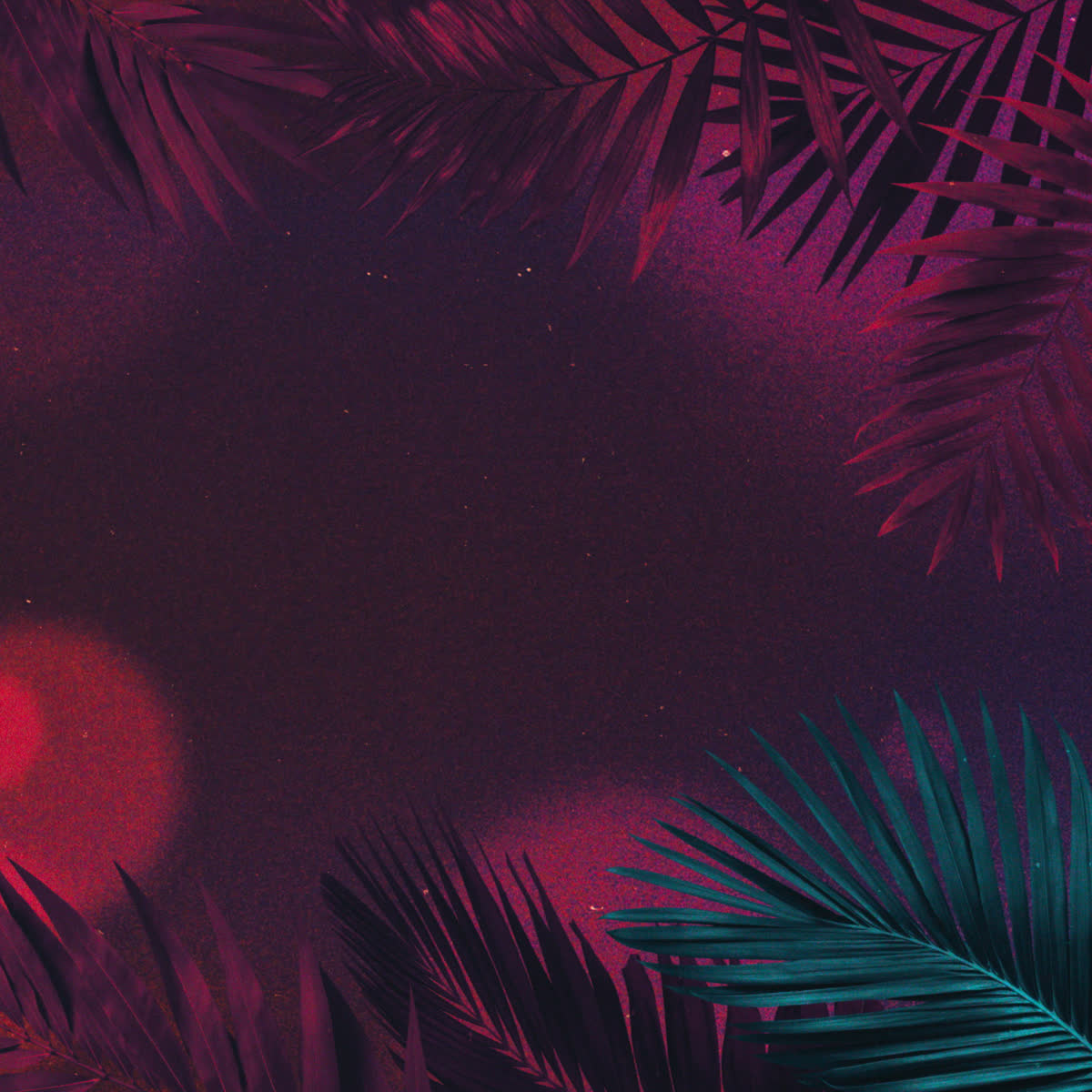 Vibrant Palms Pray Blank