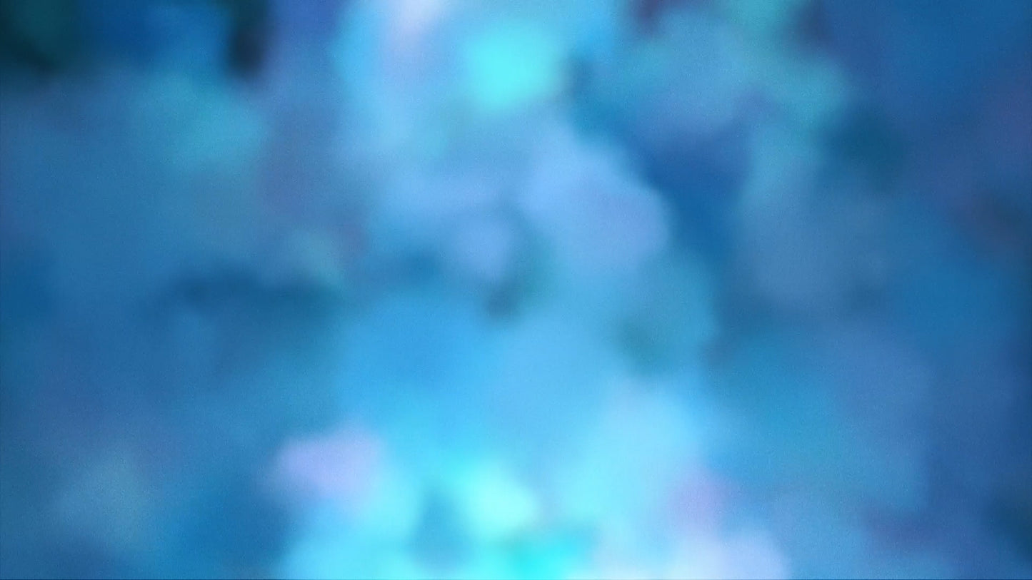 Vibrant Fog 13 Still