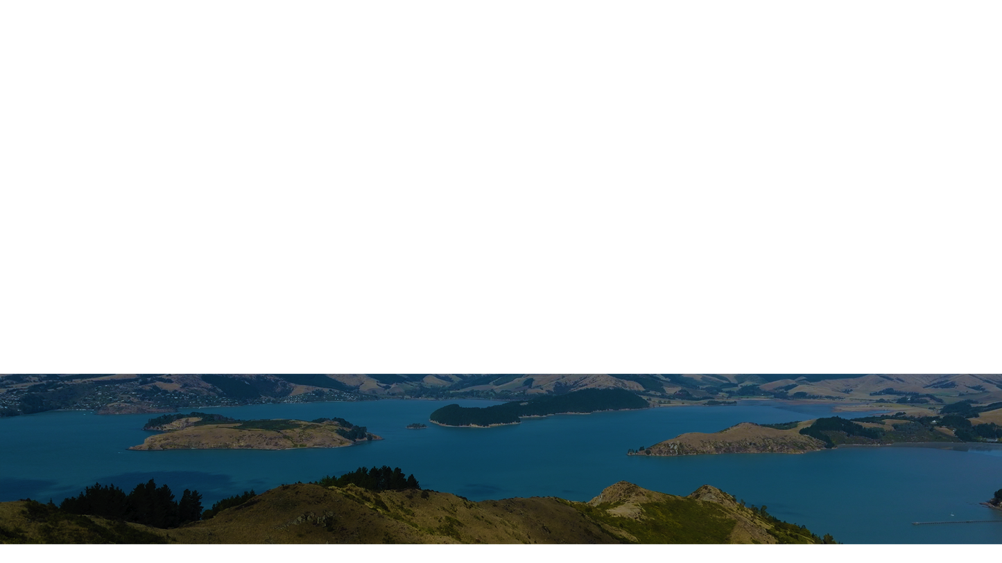 Peaceful Flight Lower Third 5