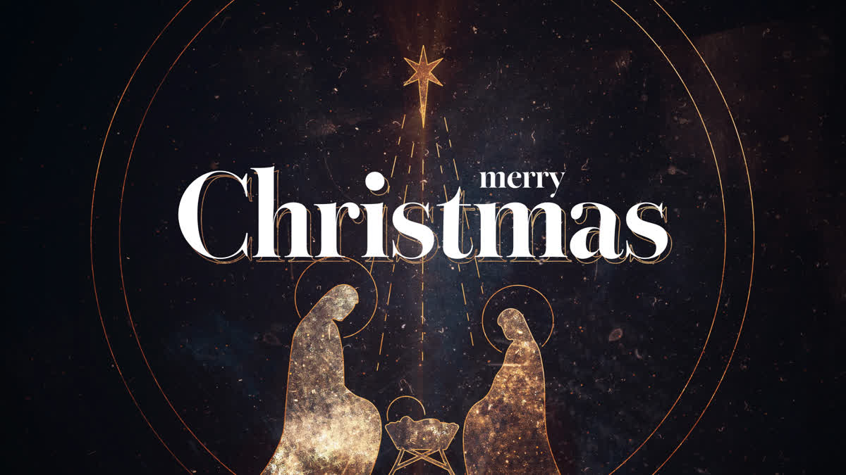 Christmas Elegance Christmas