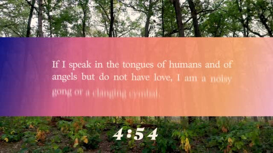 The Forest Scripture Countdown