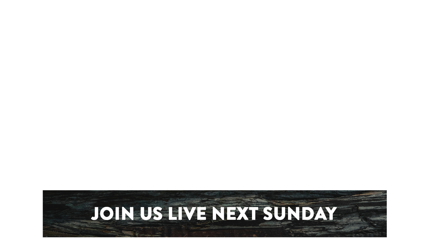 Winter Woods Lower Third Next Sunday