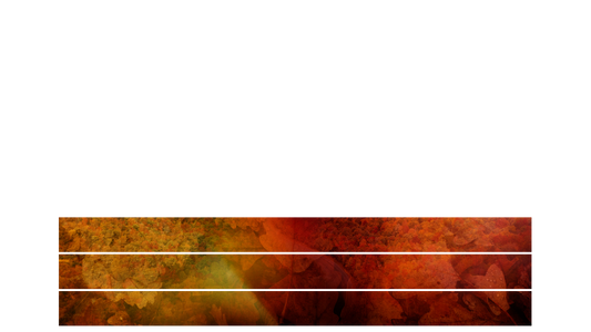 Subtle Fall Lower Third Blank 03