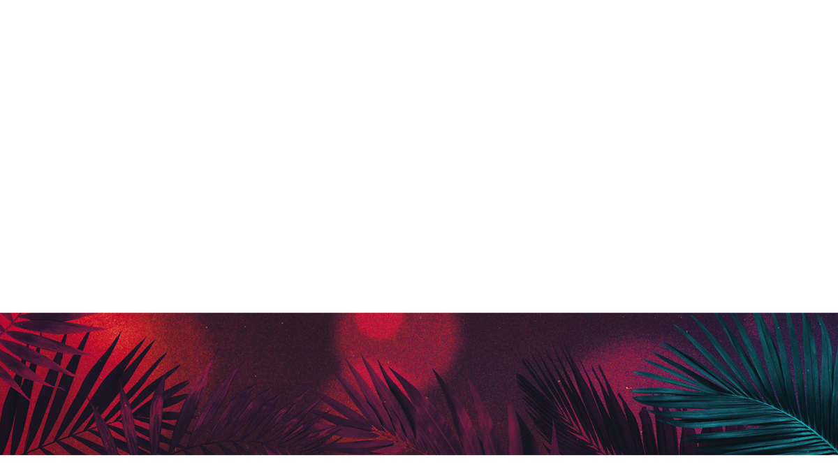 Vibrant Palms Lower Third 4