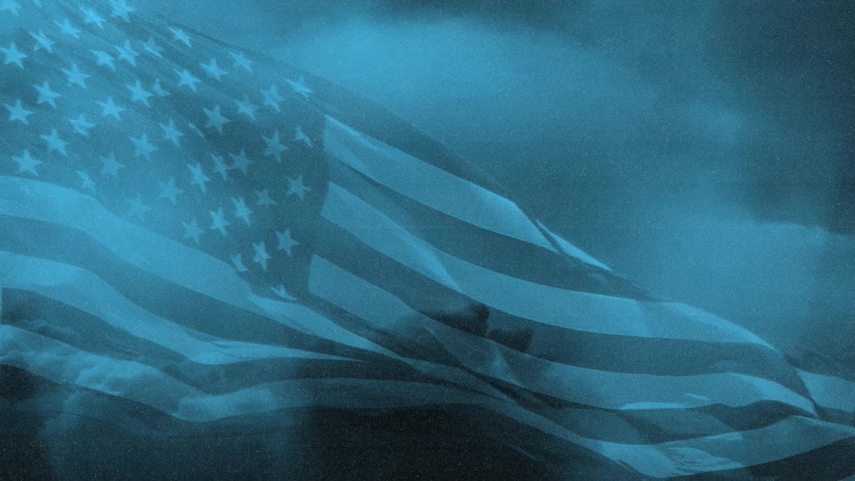 Veterans Day Flag 06