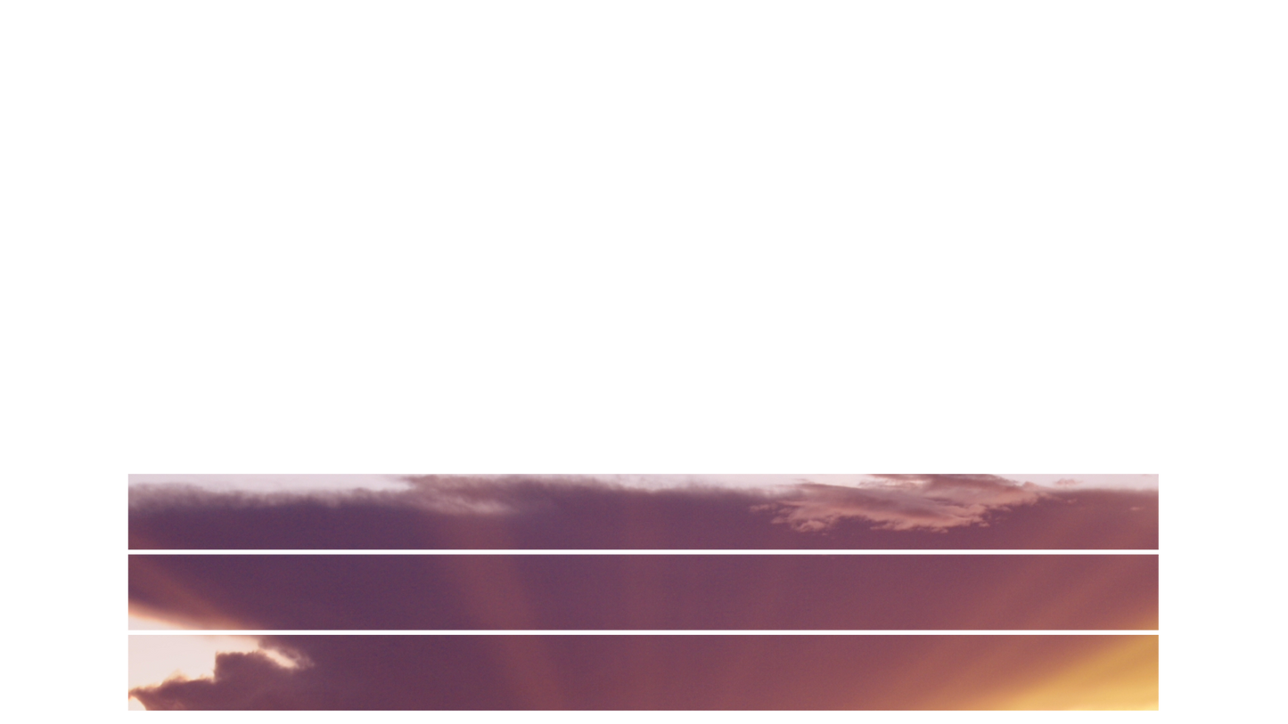 Spring Nature Lower Third Blank 03