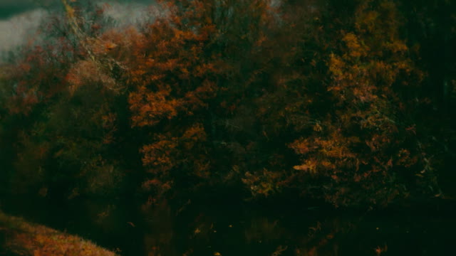 Autumn Vibes 5 Alt