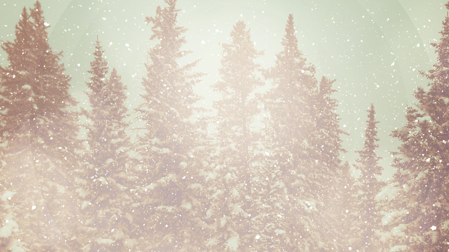 Winter Wonderland Trees