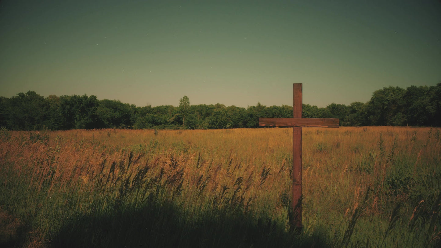 Nature Cross 11