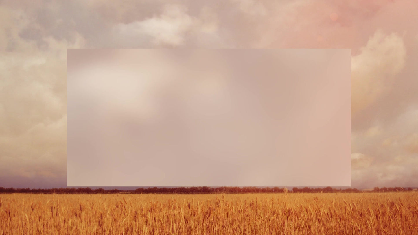 Golden Hour Field Alt