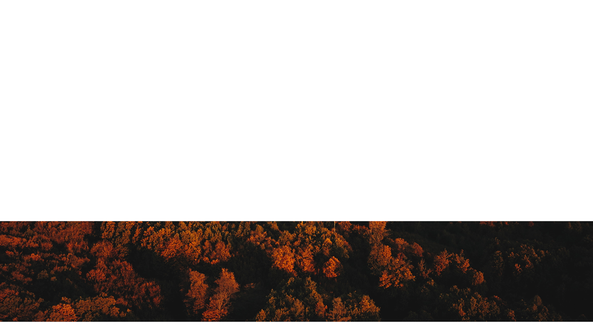 Autumn Foliage Lower Third 6