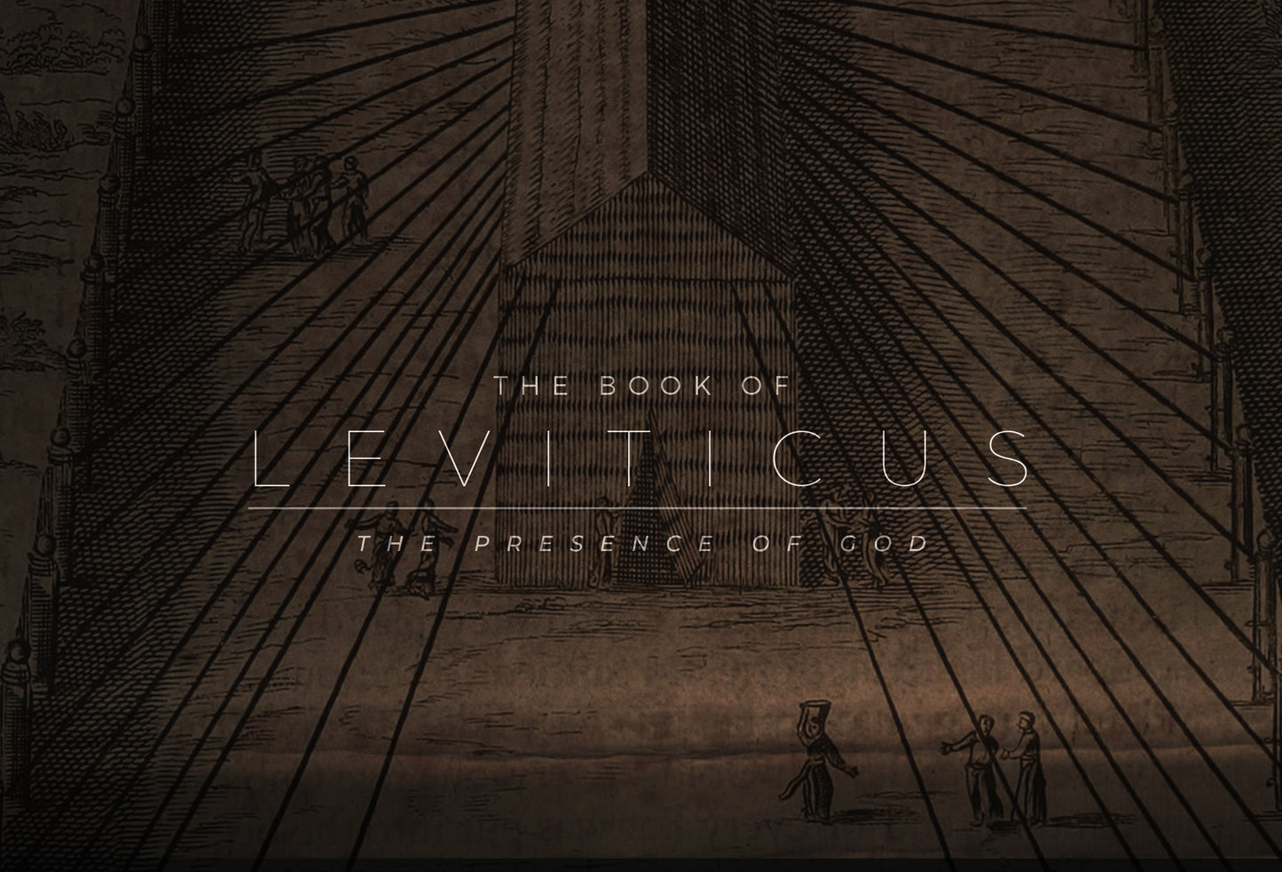 Facets Leviticus 8X5 Postcard