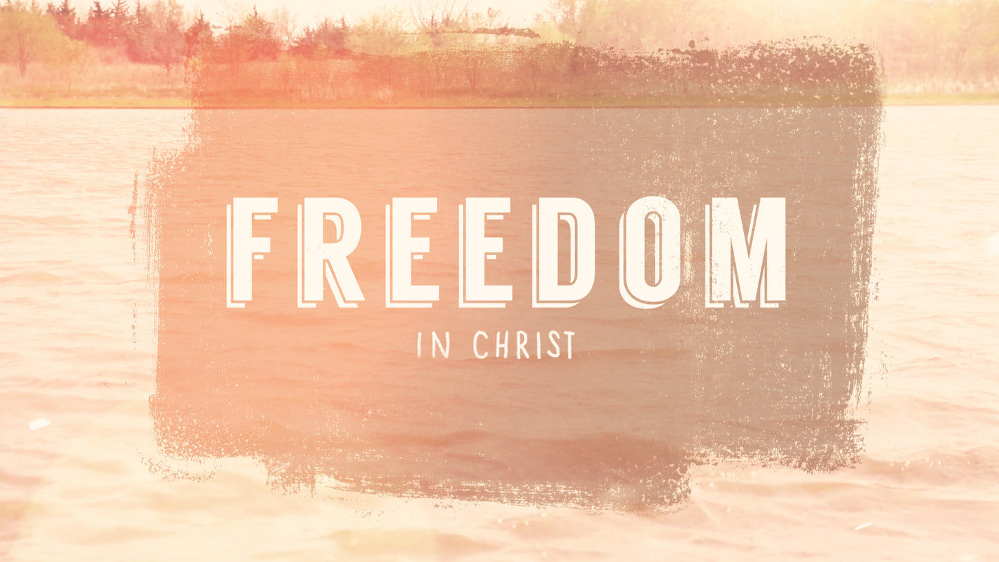 Freedom Summer Title