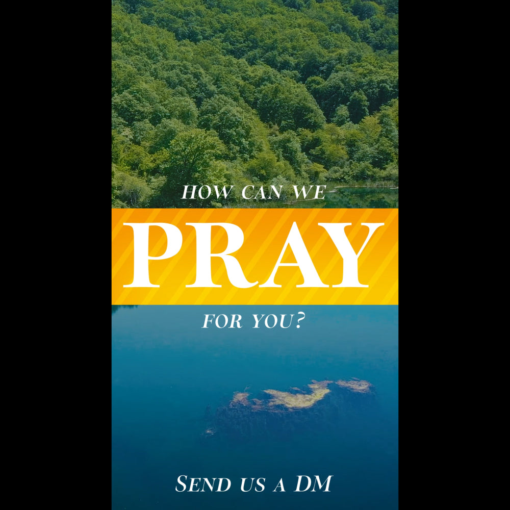 Blue Eye Pray Reel