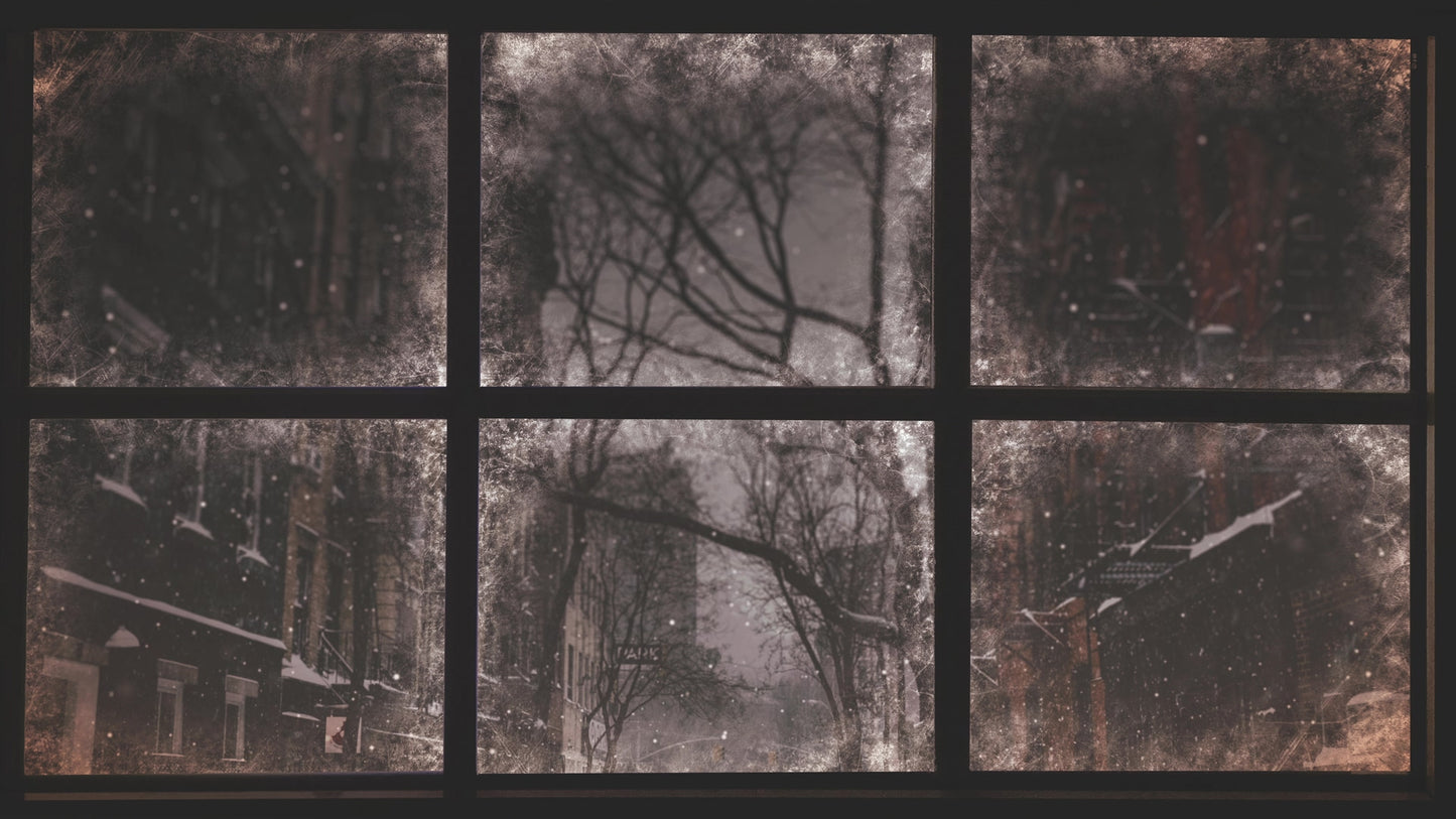 Christmas Windows 6