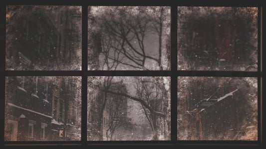 Christmas Windows 6